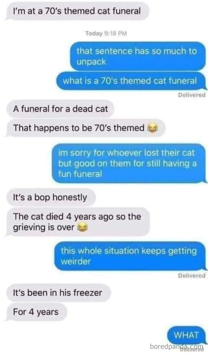 I'm At A 70s Themed Cat Funeral