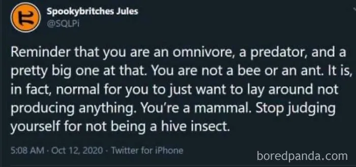 Stop Judging Yourself For Not Being A Hive Insect