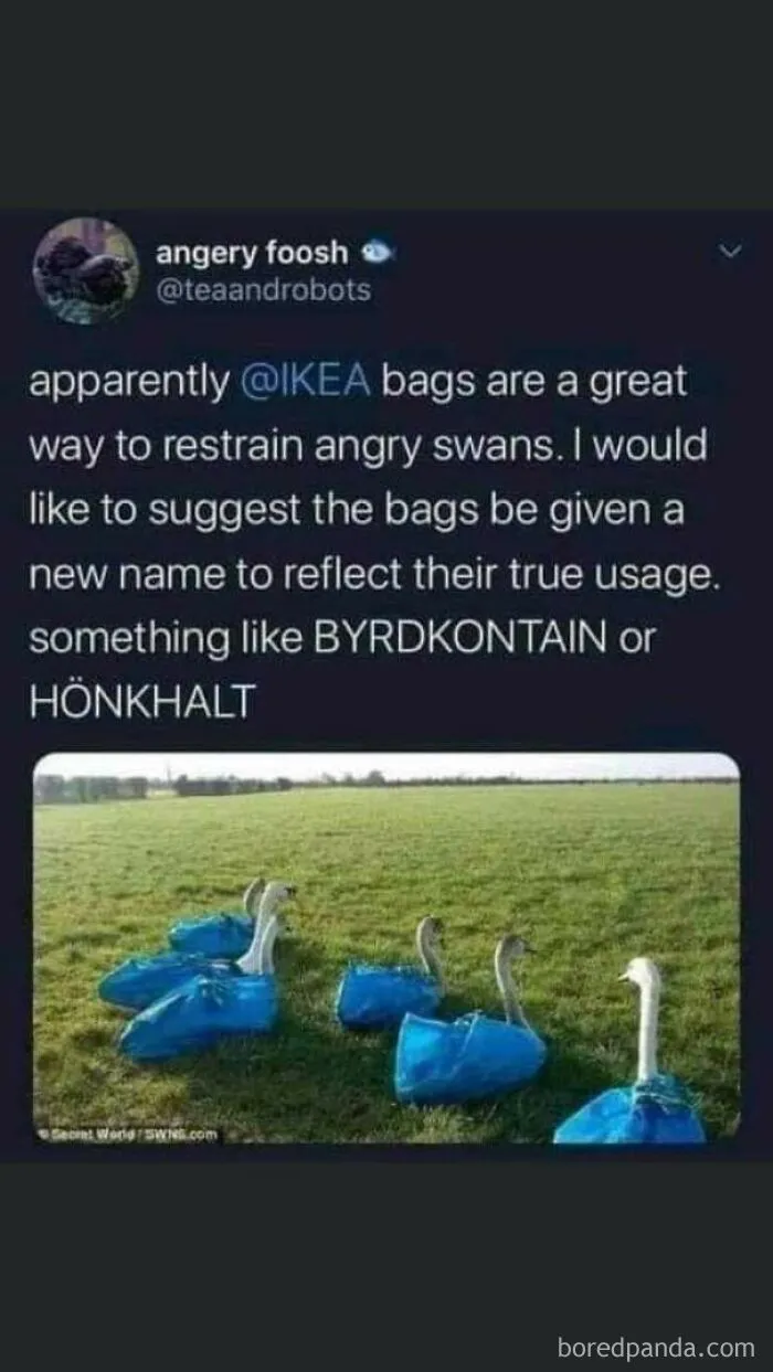Hönkhalt