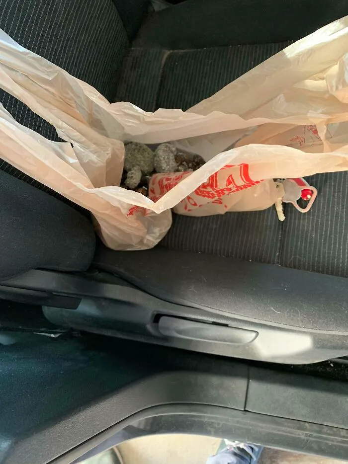 I Cleaned The Cat’s Litter Box And Brought The Bag With Me To Throw Away In My Outdoor Trash Can On The Way To Work. I Also Brought My Lunch