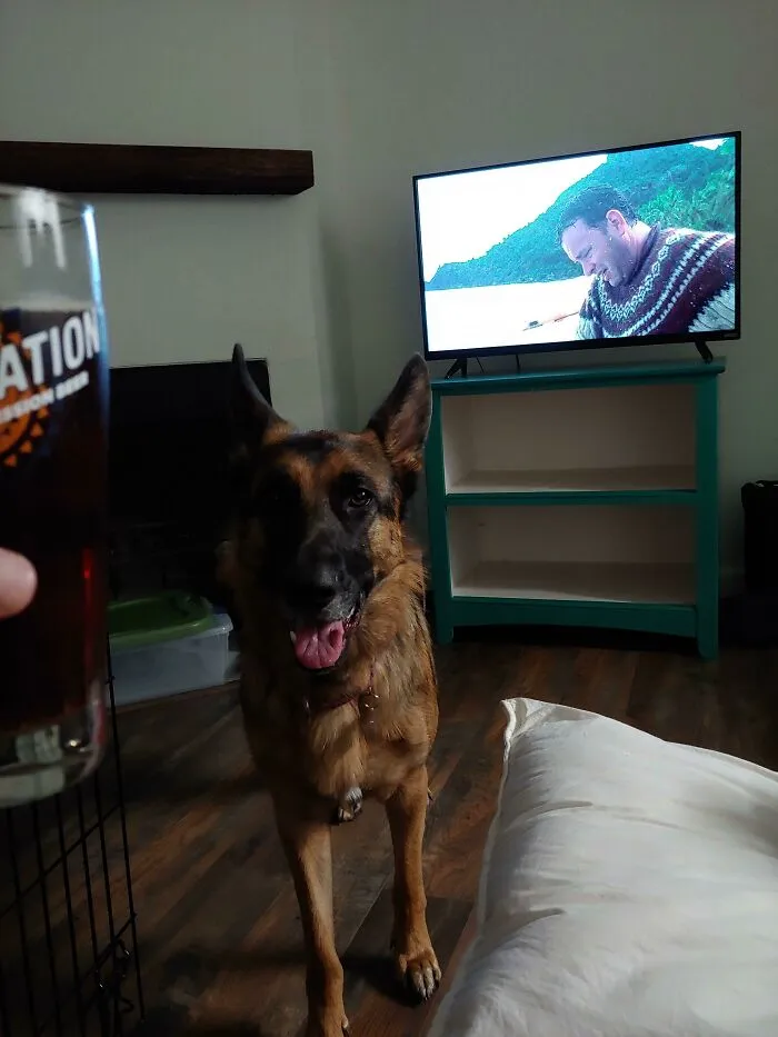 Mi esposa se quedó con la casa luego del divorcio. Yo me mudé. Esto es con lo que me quedé. Salud