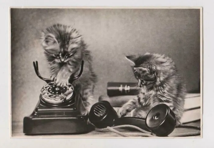 Soviet Postcard, 1956