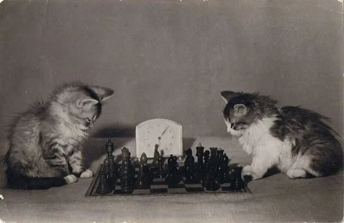 Soviet Postcard, 1955
