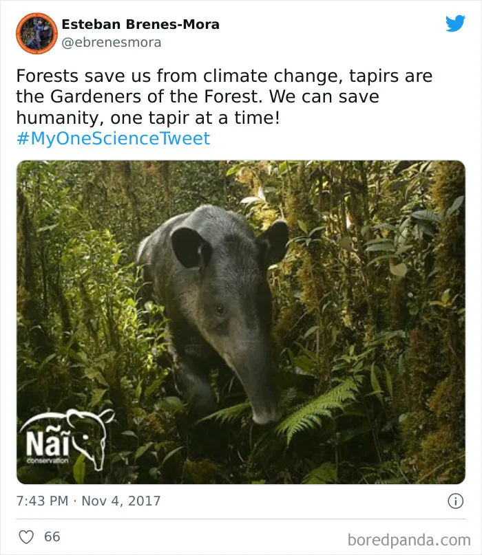 35 Scientists Share That "One Science Fact" They Wish The Whole World Would Know