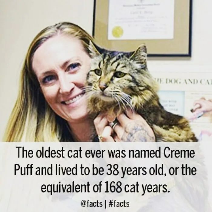 50 Of The Most Interesting Facts About Our World, As Shared By This Instagram Account