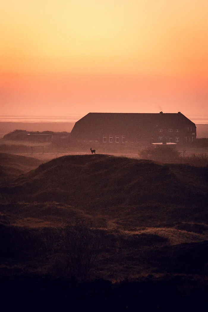 March 2021 – Sunrise, Langeoog