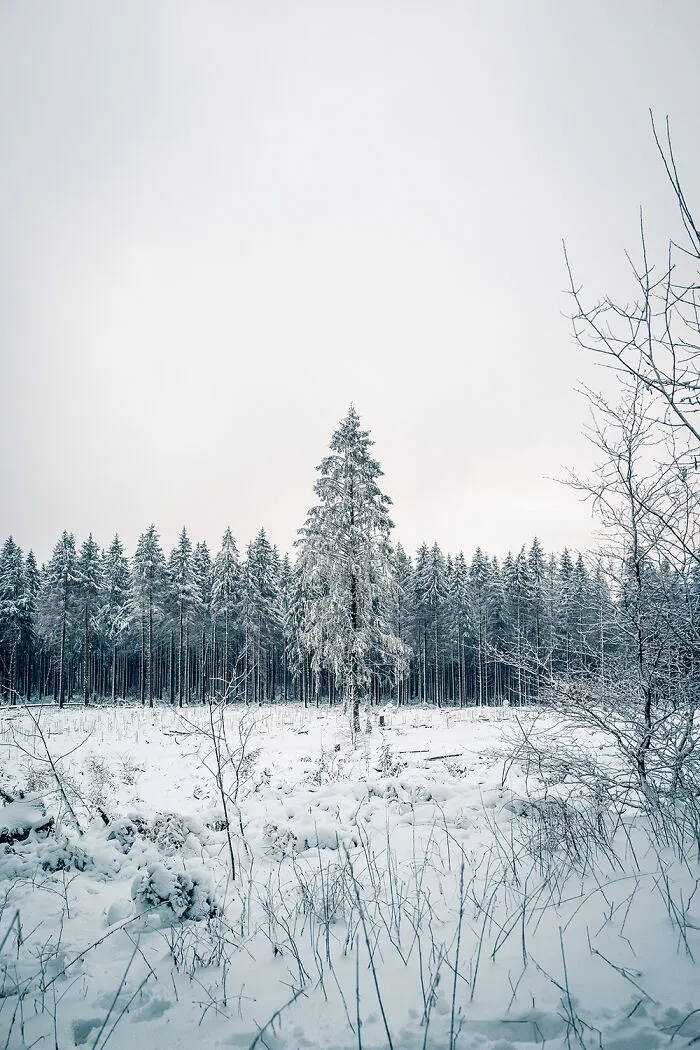 Cover 2022 – Nordhelle. Shot With Leica Q