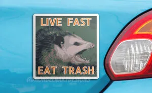 I Made 11 Opossum Drawings And Put Them On Stickers