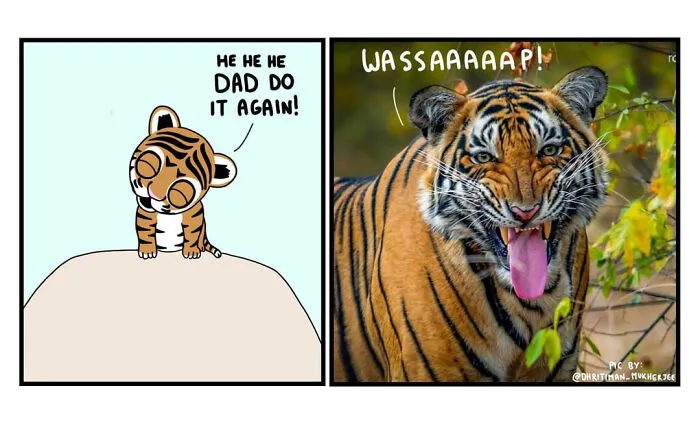 My 30 Comics Showing The Backstory Of Popular Animal Pictures