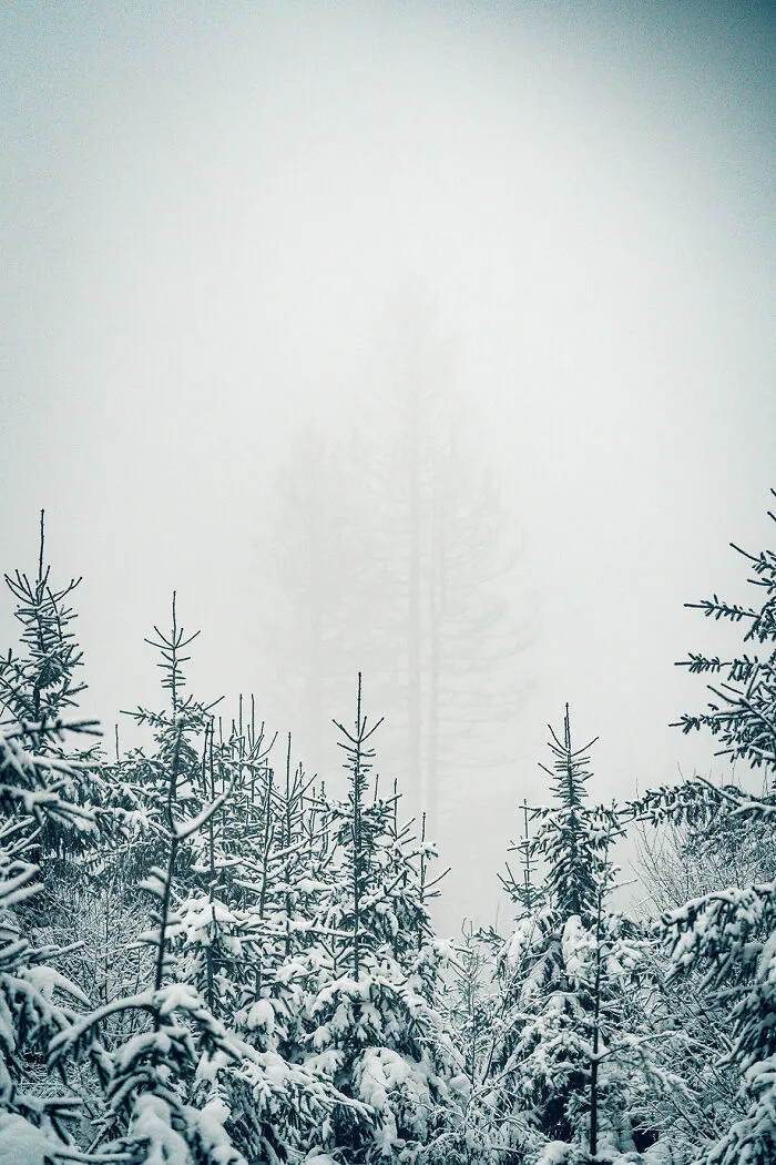 January 2022 – Nordhelle. Shot With Sony A7 III + 200-600mm