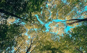 I Started Photographing Natural Phenomena And Made Calendars For 2021 And 2022 (26 Pics)