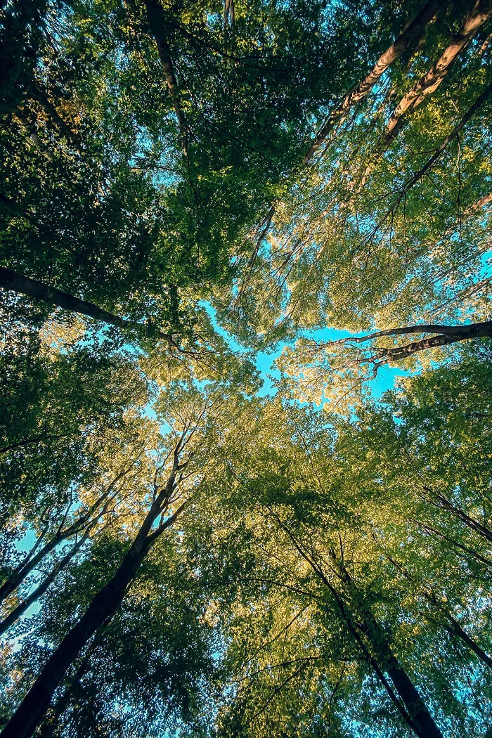 June 2021 – Shot With My iPhone While On A Walk, Bochum