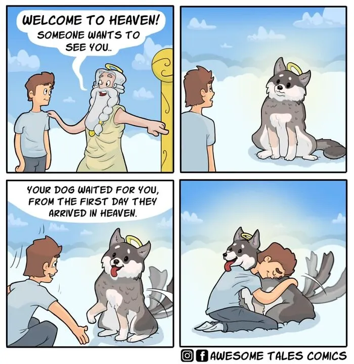 19 Comics With Absurd Situations And Unexpected Endings Made By This Artist