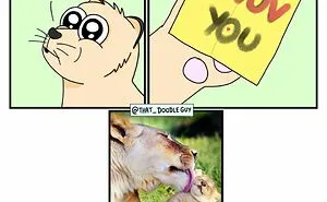 My 30 Comics Showing The Backstory Of Popular Animal Pictures