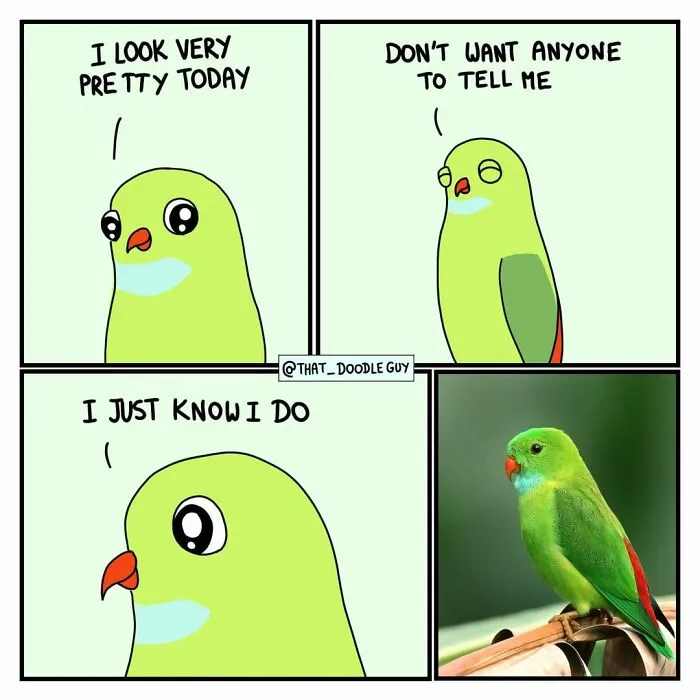 My 30 Comics Showing The Backstory Of Popular Animal Pictures