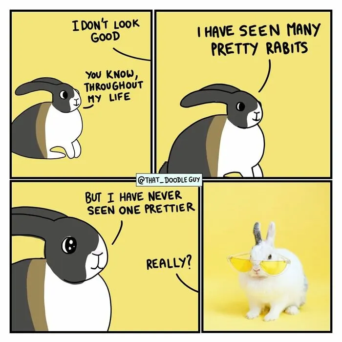 My 30 Comics Showing The Backstory Of Popular Animal Pictures