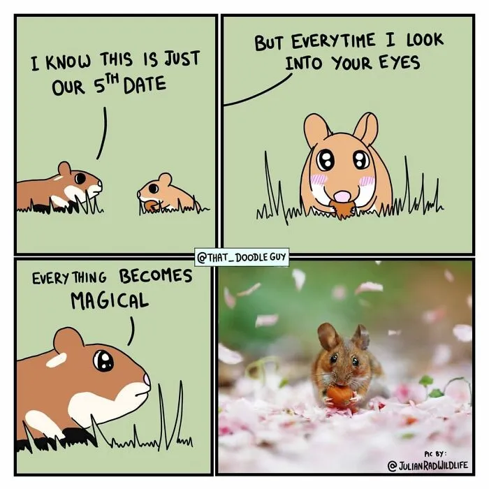 My 30 Comics Showing The Backstory Of Popular Animal Pictures