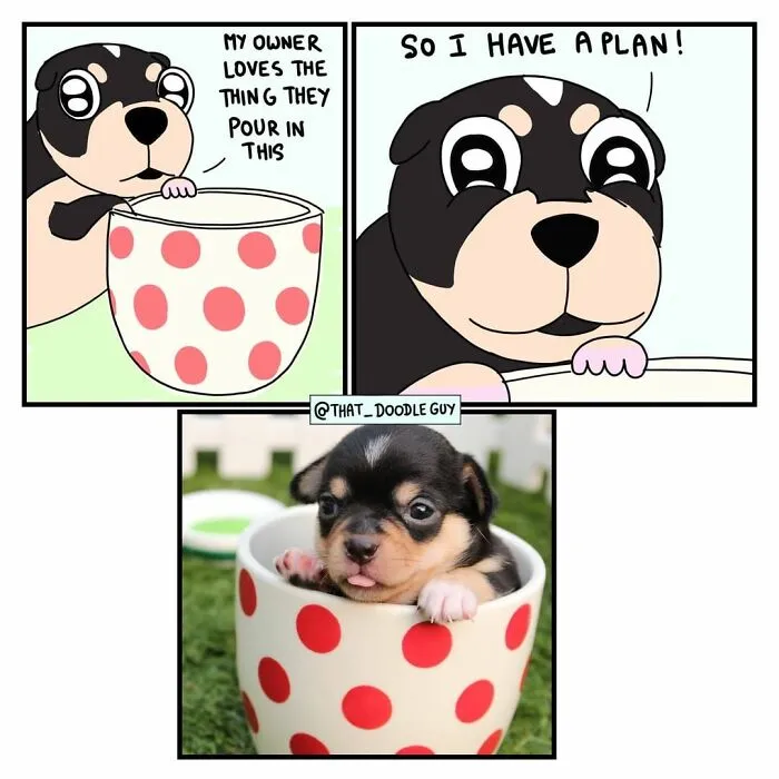 My 30 Comics Showing The Backstory Of Popular Animal Pictures