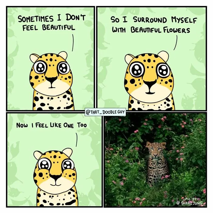 My 30 Comics Showing The Backstory Of Popular Animal Pictures