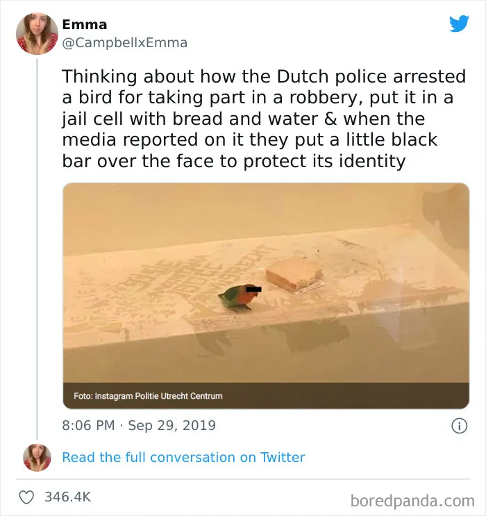 Blessed_arrest
