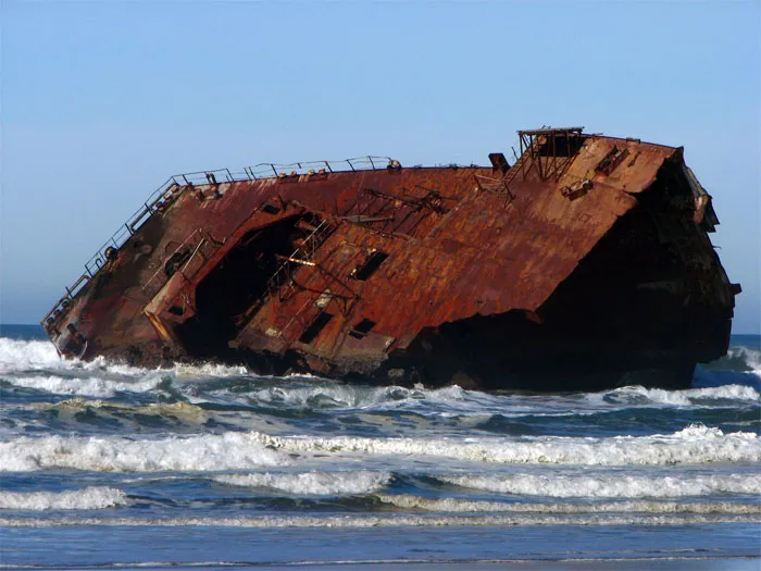 30 Of The Most Creepy Or Weird Things People Witnessed In Oceans, As Shared In This Online Group