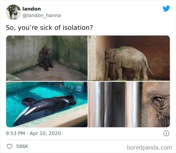 We Are All Spolied