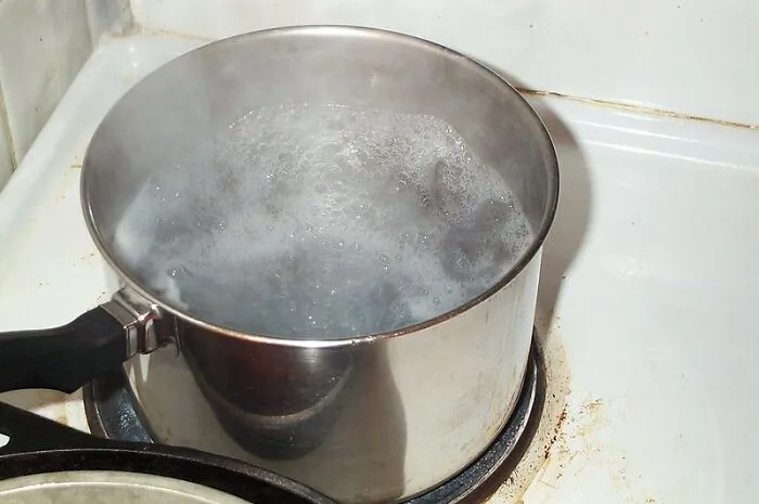 Person Online Asked “What Culinary Hill Are You Willing To Die On?”, 40 People Delivered