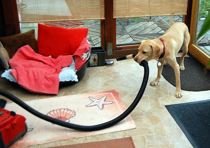 Vacuuming