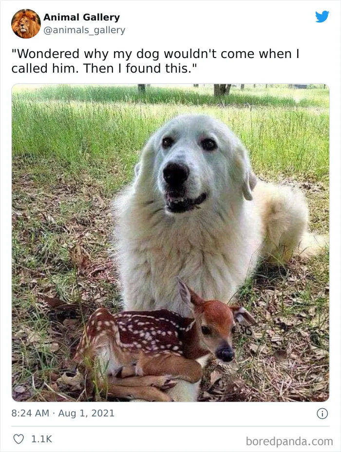 Blessed Meeting