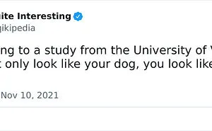 50 Random Facts To Entertain Your Brain Cells, As Shared By “Quite Interesting” Twitter Account
