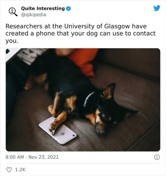 50 Random Facts To Entertain Your Brain Cells, As Shared By “Quite Interesting” Twitter Account