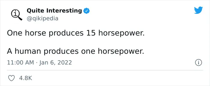 50 Random Facts To Entertain Your Brain Cells, As Shared By “Quite Interesting” Twitter Account
