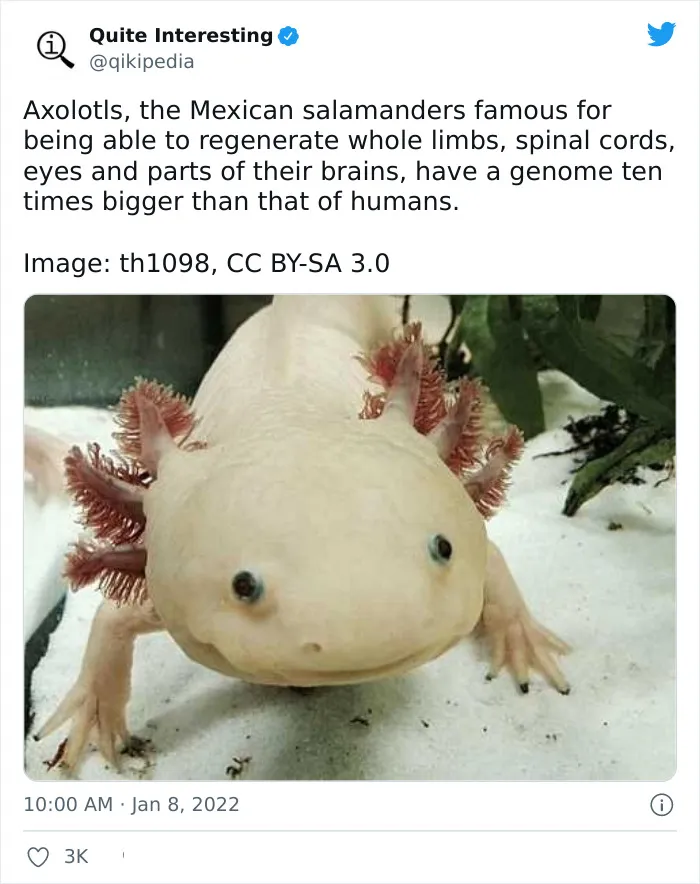 50 Random Facts To Entertain Your Brain Cells, As Shared By “Quite Interesting” Twitter Account