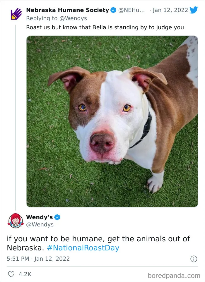 30 Of The Most Spot-On Burns Wendy's Delivered To People And Companies On Their National Roast Day This Year
