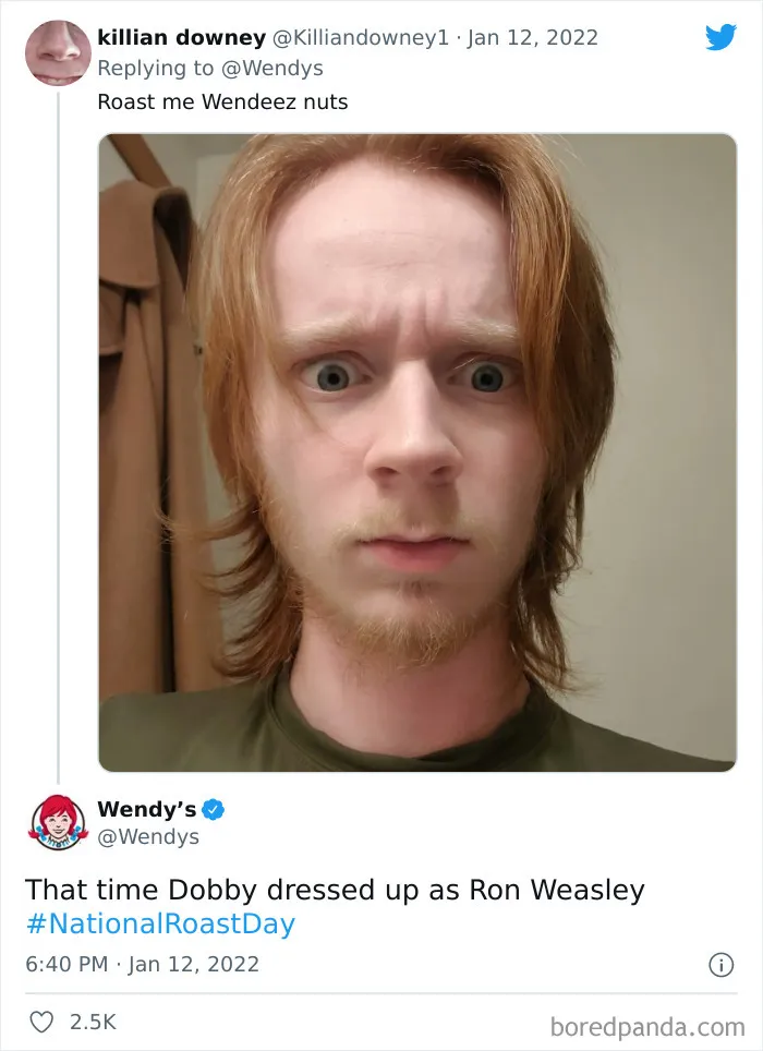 30 Of The Most Spot-On Burns Wendy's Delivered To People And Companies On Their National Roast Day This Year