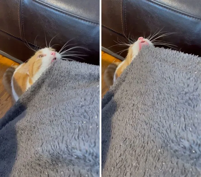 Mmmm… una manta