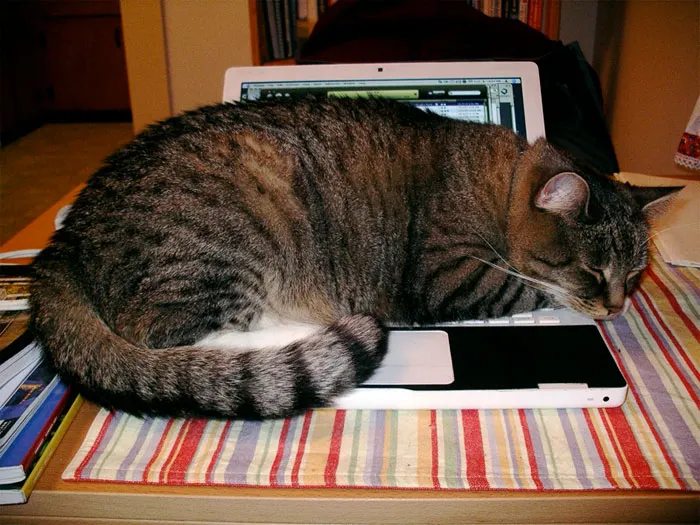 Working Oneself To Death