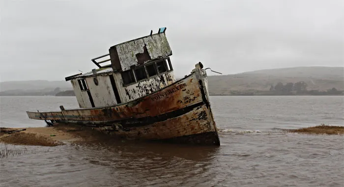 30 Of The Most Creepy Or Weird Things People Witnessed In Oceans, As Shared In This Online Group