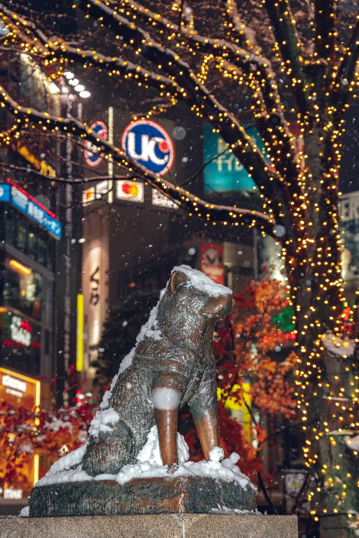 Shibuya, Tokyo