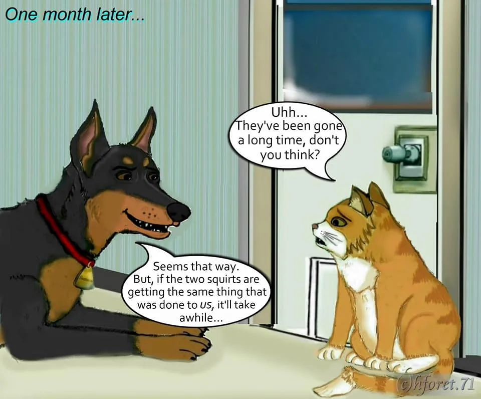 "Back From The Vet..."