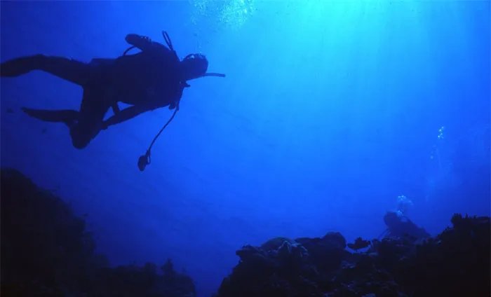 30 Of The Most Creepy Or Weird Things People Witnessed In Oceans, As Shared In This Online Group
