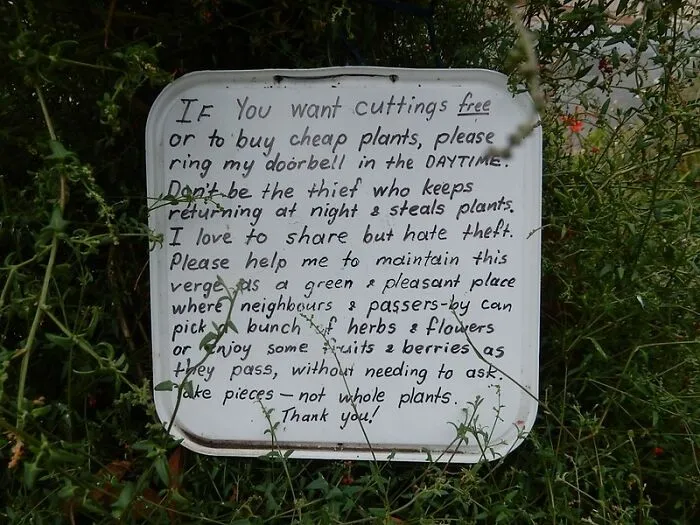 Politeness
