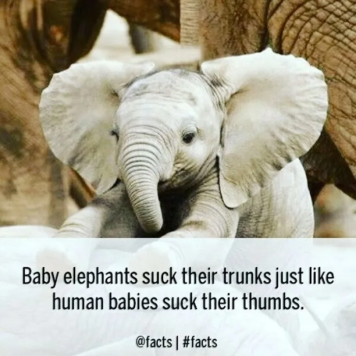 50 Of The Most Interesting Facts About Our World, As Shared By This Instagram Account