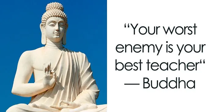 142 Of The Best Teacher Quotes For Every Scholar Out There
