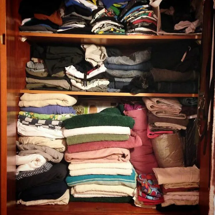 30 Cats Who Are The True Masters Of 'Hide And Seek' As Shared On This Twitter Page