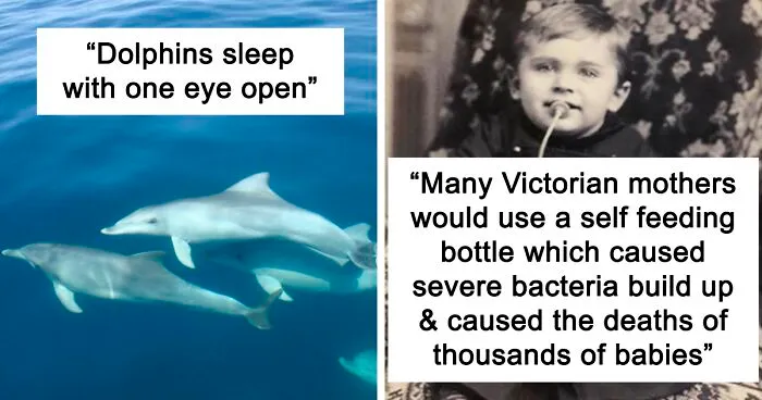 35 New ‘Today I Learned’ Facts That Prove It’s Never Too Late To Learn Something New