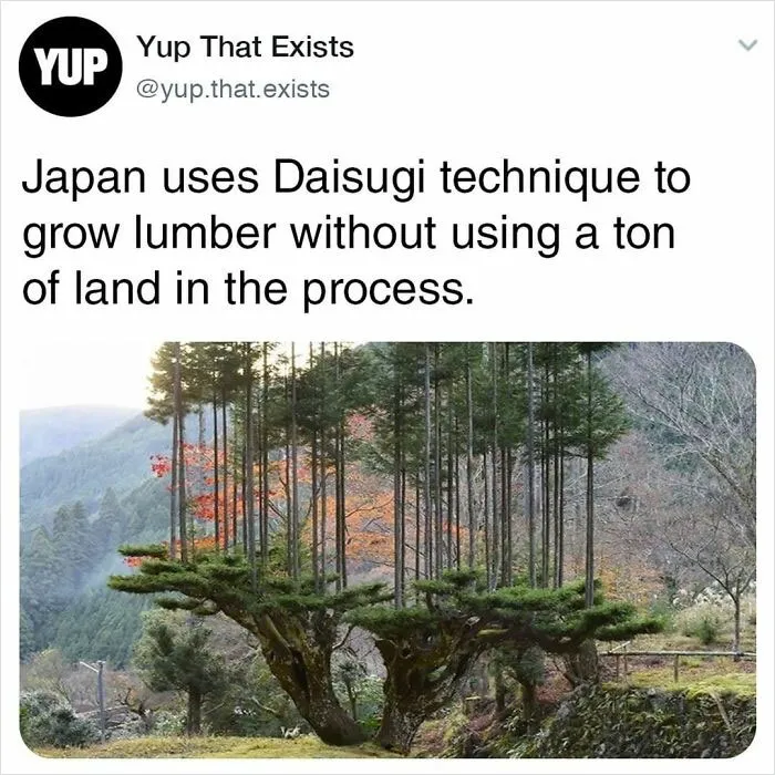 50 Things You Probably Never Knew Existed Shared By "Yup That Exists" Instagram Page