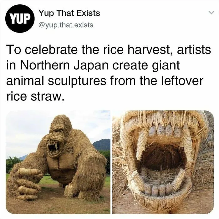 50 Things You Probably Never Knew Existed Shared By "Yup That Exists" Instagram Page