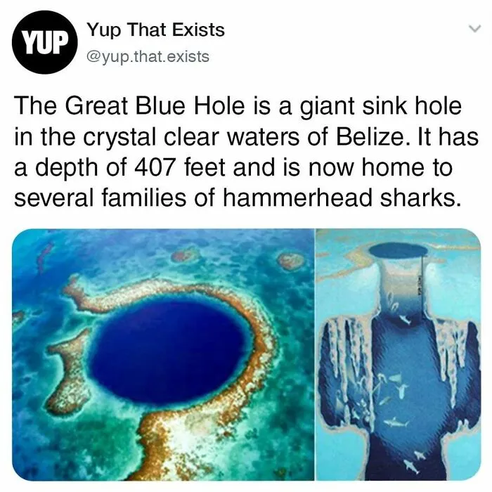 50 Things You Probably Never Knew Existed Shared By "Yup That Exists" Instagram Page