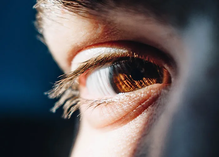People Share 40 Conspiracy Theories They Claim Are "Too Logical To Ignore"